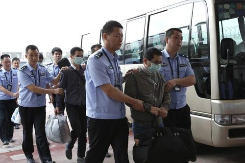 Trung Quốc mở chiến dịch đặc biệt 'Săn cáo 2024'