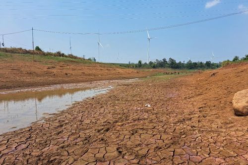 Nắng nóng kéo dài tại khu vực Tây Nguyên: Người dân chật vật vì thiếu nước