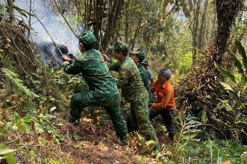 Cháy rừng trong đêm ở Hà Giang, hàng trăm lượt cán bộ, chiến sĩ và nhân dân tham gia dập lửa