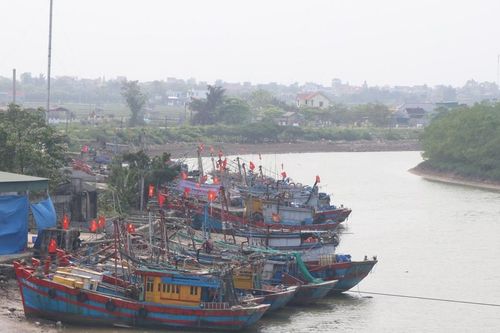 Ngư dân mong mỏi dự án nạo vét cửa biển Lạch Vạn