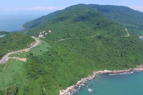 Bán đảo Sơn Trà có gì đặc biệt mà ai cũng muốn ghé thăm?