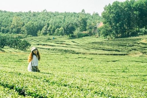Những địa điểm du lịch lý tưởng cho kỳ nghỉ lễ 30/4 - 1/5 ở Bắc Giang