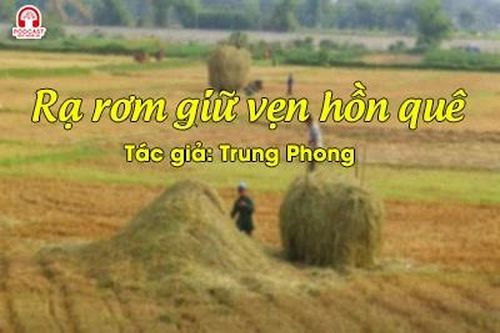 Tản văn hay: Rạ rơm giữ vẹn hồn quê