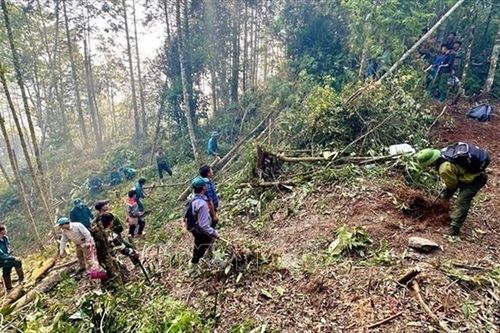 Triển khai các biện pháp cấp bách phòng cháy, chữa cháy rừng