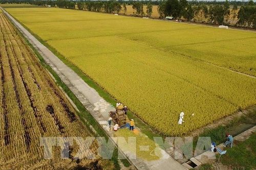 Loạt chính sách liên quan kinh tế mới hiệu lực từ tháng 5/2024