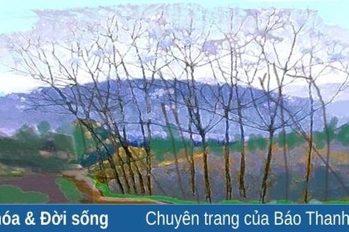 Đi qua mùa hoa xoan