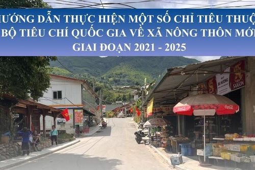 Hướng dẫn thực hiện một số chỉ tiêu thuộc Bộ tiêu chí quốc gia về xã nông thôn mới giai đoạn 2021 - 2025