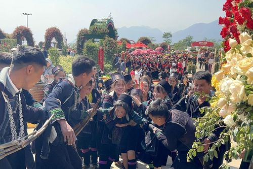 Ấn tượng Lễ hội hoa 'Triệu đóa hồng tình yêu Fansipan'