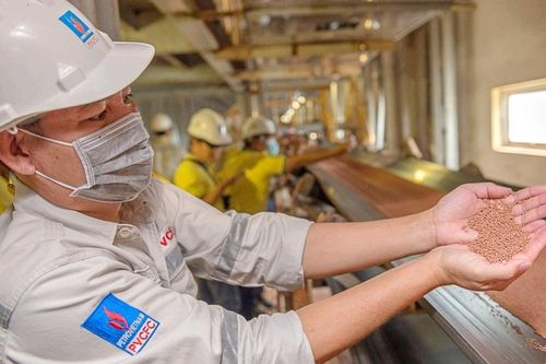Đạm Cà Mau (DCM): Xuất khẩu bứt phá, lãi ròng tăng 52%, nắm gần 11.000 tỷ đồng tiền mặt