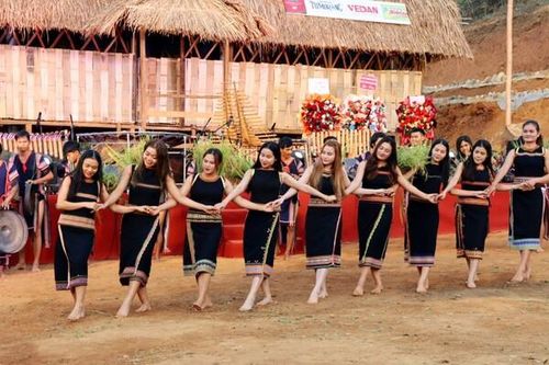 Kon Tum: Xác lập kỷ lục Việt Nam với 120 món ăn được chế biến từ sâm dây cho huyện Tu Mơ Rông