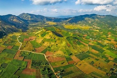Sớm đưa Tây Nguyên ra khỏi 'vùng trũng' trong phát triển thương mại