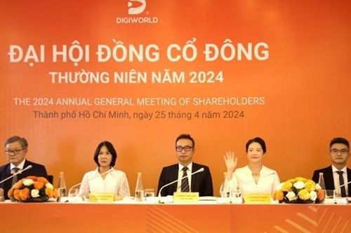ĐHĐCĐ 2024 của Digiworld (DGW): Đặt mục tiêu sẽ có 2 - 3 thương vụ về M&A mỗi năm