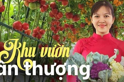 Mẹ đảm mê trồng cây sân thượng: Rau củ ăn quanh năm không hết phải mang tặng, vườn đẹp đến nỗi đồng nghiệp lẫn học sinh mầm non đến check-in