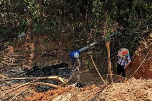 Vụ cá chết hàng loạt ở khe Rào Trường: Xử phạt chủ trang trại heo 155 triệu đồng vì gây ô nhiễm môi trường