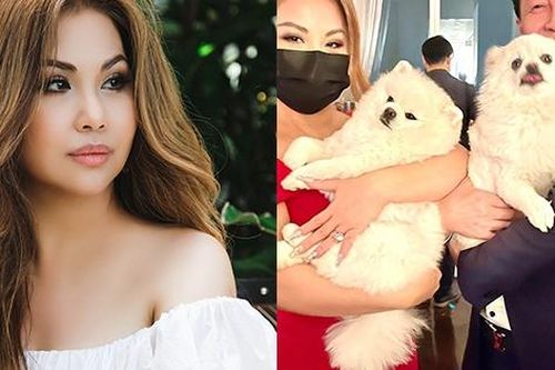 Hôn nhân đời thực của em gái Cẩm Ly: Lấy chồng Việt kiều, 24 năm không con cái