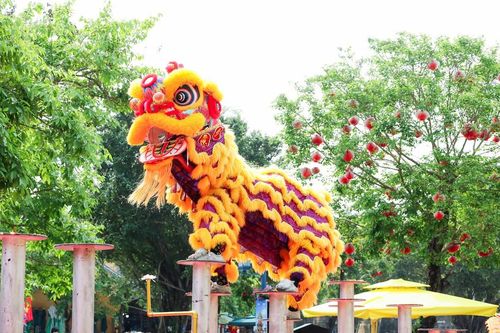Mãn nhãn với những màn tranh tài Lân Sư Rồng tại Hạ Long