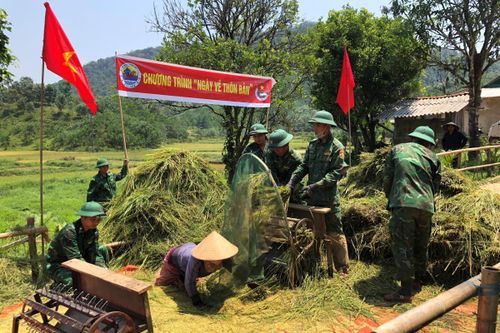 Vượt nắng giúp người dân biên giới thu hoạch lúa