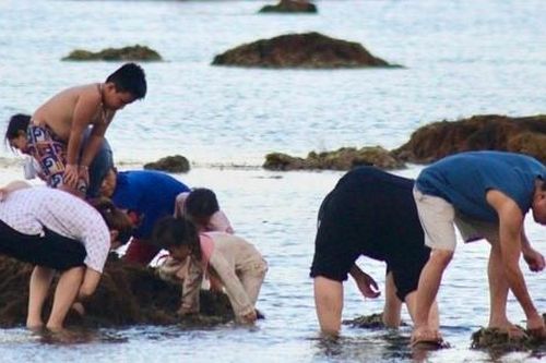 Du khách đổ ra biển Nha Trang trải nghiệm cảnh tượng chỉ có trên ti vi