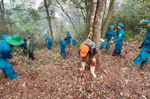 2 kiểm lâm hy sinh, công an vào cuộc điều tra vụ cháy rừng Tây Côn Lĩnh