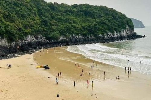 Thực hư Cát Bà vắng bất thường, khách sợ tắc phà nên đồng loạt 'quay xe'