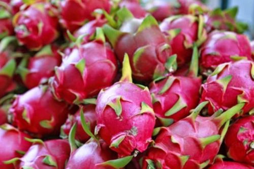 Dừa tươi, thanh long nghịch vụ tăng giá mạnh