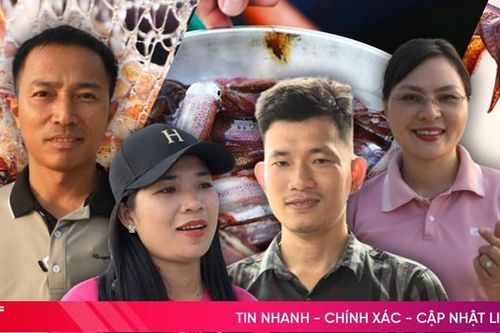 Mực nhảy Vũng Áng giòn và ngon tuyệt