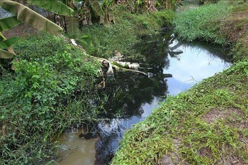 Cần xử lý quyết liệt tình trạng ô nhiễm môi trường tại Tây Ninh