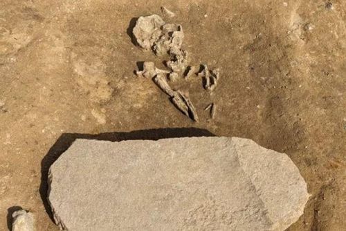 Khai quật mộ của 'Zombie', các nhà khoa học phát hiện ra điều kinh hoàng