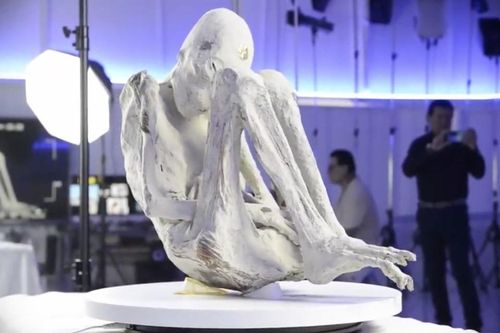Tuyên bố sửng sốt về 'xác ướp người ngoài hành tinh Nazca'