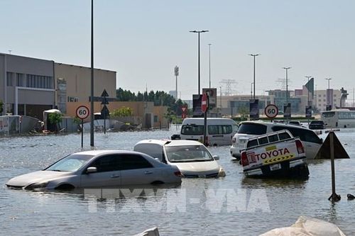 2024 -năm bản lề cho mục tiêu mới về khí hậu của thế giới