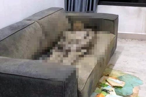 Thi thể tử vong trên ghế sofa: Phát hiện nhiều tình tiết mới, gia đình tìm con trong suốt 2 năm