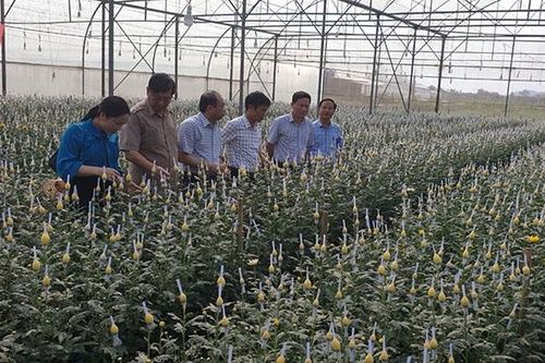 Phát huy vai trò tiên phong, gương mẫu của cán bộ, đảng viên