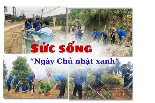 Sức sống 'Ngày Chủ nhật xanh'