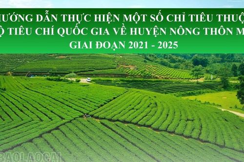 Hướng dẫn thực hiện một số chỉ tiêu thuộc Bộ tiêu chí quốc gia về huyện nông thôn mới giai đoạn 2021 - 2025