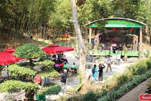 Rừng Vàng - Điểm đến hút khách du lịch dịp nghỉ lễ