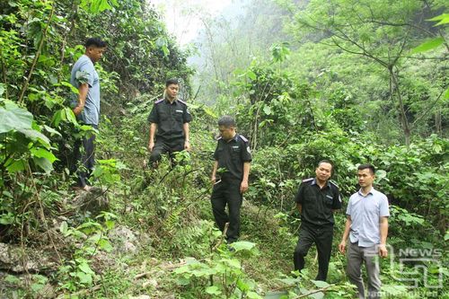 Thầm lặng giữ rừng