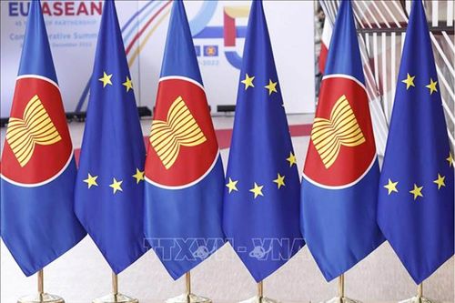 Hợp tác thương mại kỹ thuật số: Viên gạch góp phần xây dựng Hiệp định thương mại tự do EU - ASEAN