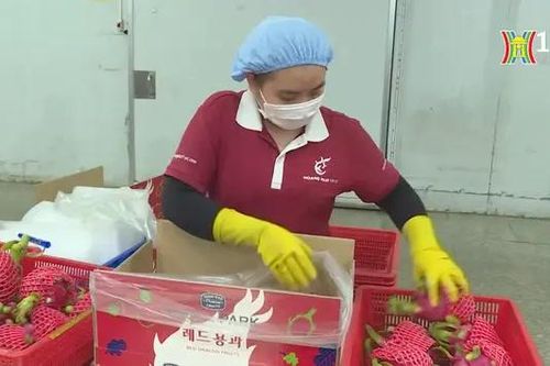 Đa dạng thị trường xuất khẩu