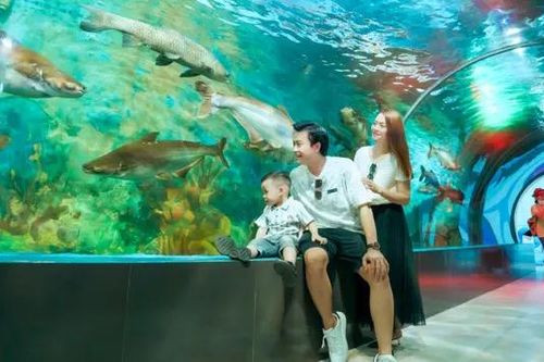 Các điểm du lịch tại Hà Nội hút khách
