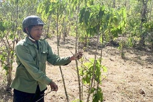 Nước mắt mùa hạn