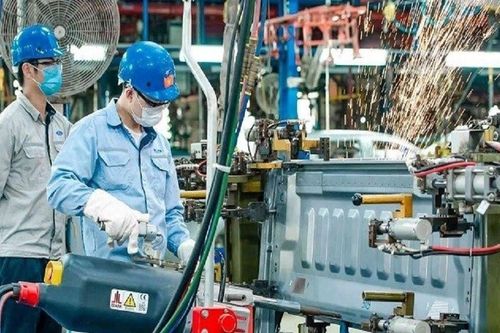 Hình bóng một con rồng châu Á