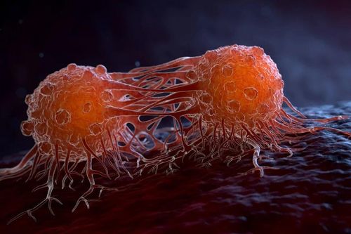Giấc mơ về vaccine ung thư đang đến gần