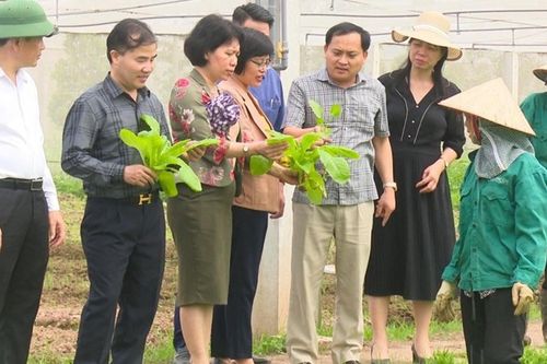Thường Tín tăng tốc hoàn thành huyện nông thôn mới nâng cao