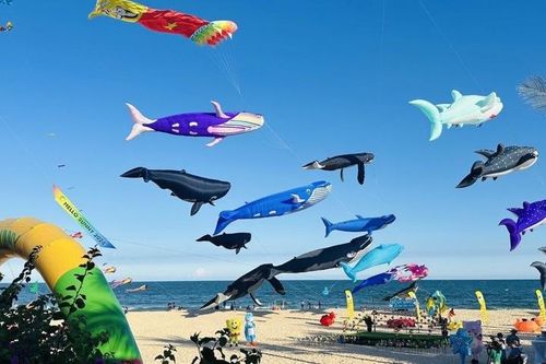 Hào hứng Lễ hội thả diều - Hello Sunny Phan Thiết