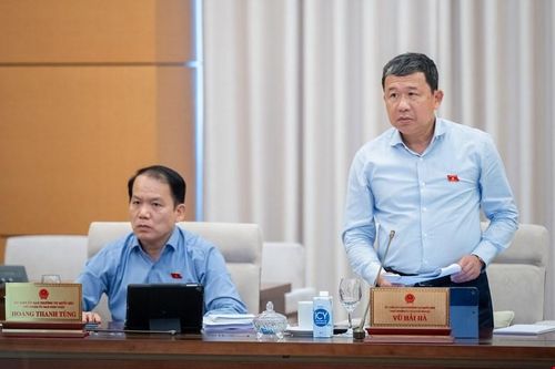 Đánh giá kỹ đề xuất thu hẹp phạm vi dịch vụ xuất khẩu được hưởng thuế suất 0%