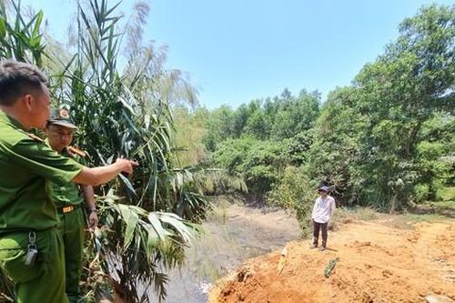 Xử phạt chủ trang trại nuôi lợn xả thải ra môi trường