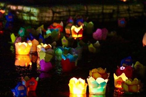 Hơn 15.000 cánh hoa đăng đẹp lung linh giữa lòng Nha Trang