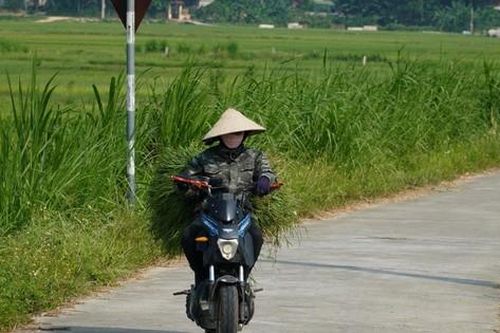 Cụ ông tử vong nghi do sốc nhiệt