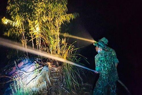 Cháy 400 ha rừng tràm ở tỉnh Kiên Giang