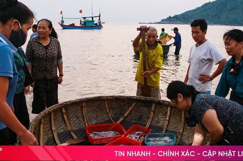 Ngư dân Hà Tĩnh 'gác' lễ vươn khơi, mang về nguồn hải sản tươi ngon